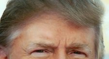 foto donald 26.7.